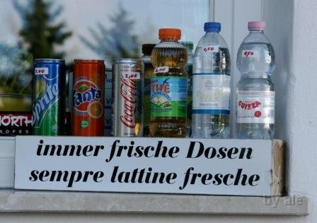 421 dosen