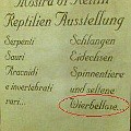 134 wierbellose  Wahrlich seltene Tiere gab es in St. Ulrich zu sehen. Eine Ausstellung, die zumindest sprachlich wohl doch für einigen "Wirbel" gesorgt haben dürfte.  Das Foto schoss Miguel Insam aus St. Christina.