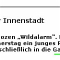 190 gallerie  Das Reh hat offensichtlich auch die "Stol"-Redaktion etwas verwirrt. "Galerie" kommt nicht von Galle.