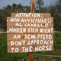 362 pferdenahrung  Dieses Pferd sollte man also nicht "zum Fressen gern" haben. Fotografiert von Armin Brunner beim Klettergarten Monte Baone bei Arco.