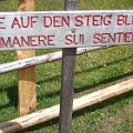 390 steig  Auf dem Weg der richtigen Fälle würden wir lieber bleiben.  Fotografiert von Herlinde Walter auf der Gschnagenhardt-Alm in Villnöß.