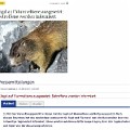 436 murmeltiere  Die Frage ist nur, in welcher Murmeltiersprache man es den Betroffenen mitgeteilt hat. Diese Pressemitteilung des Landespresseamtes fand auch prompt Eingang in die Medien.