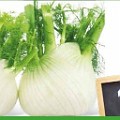 858 fennel  Diese neue Gemüsesorte entdeckte Harald Seppi in einem Südtiroler LD-Markt.