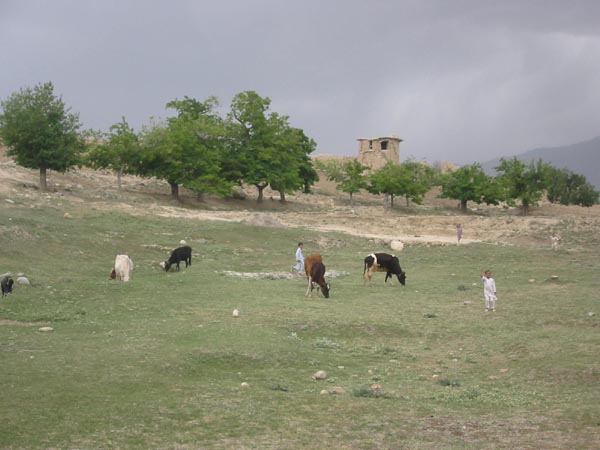 Mai 2004 Afghanistan 311