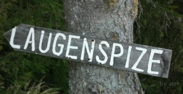 742 laugenspize