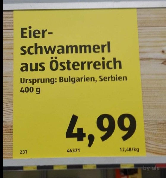 999 08 eierschwammerl